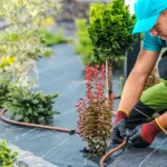 How-much-does-landscaping-cost